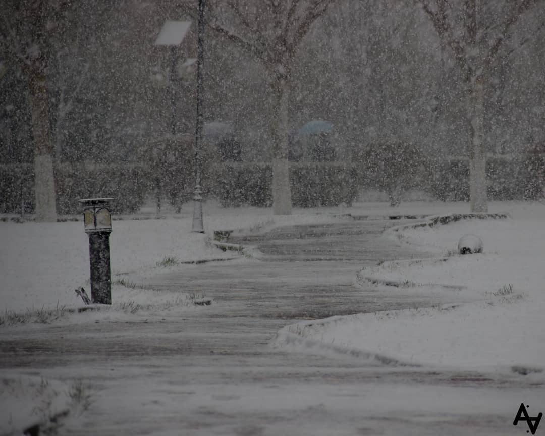 Cascading Street of Snow.