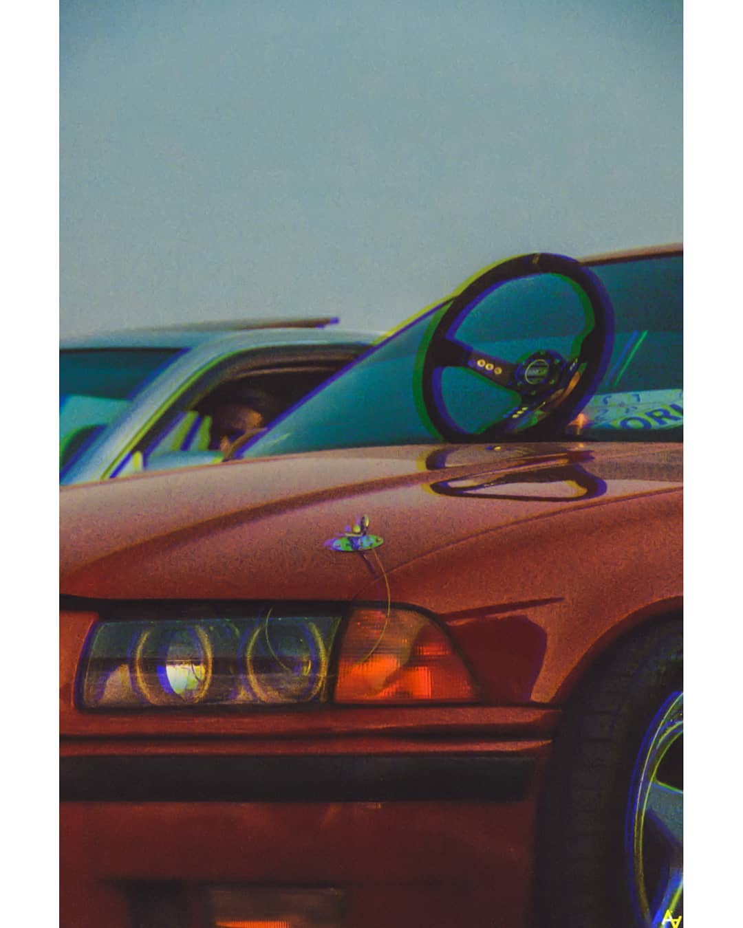 Ｄｏｌｐｈｉｎ |  Ｍ ３.